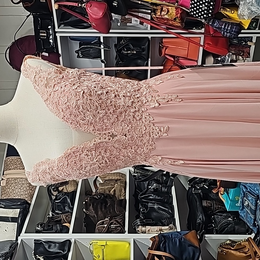 Eva USA Lace Chiffon Rose Long Dress